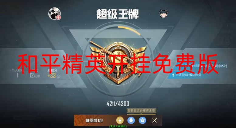 和平精英直装《无忧》